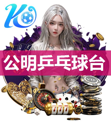 公明乒乓球台 公明乒乓球台