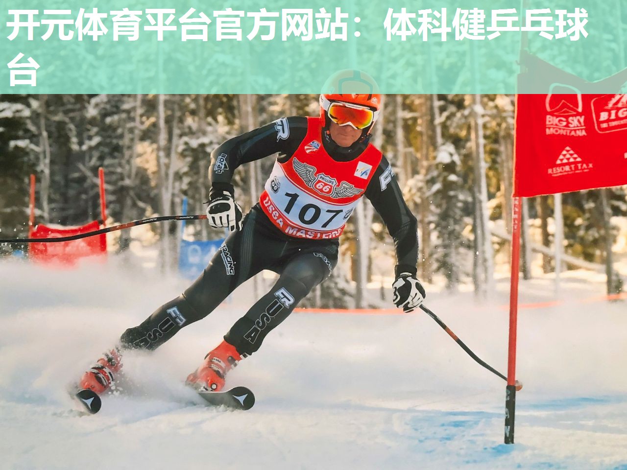 体科健乒乓球台 体科健乒乓球台