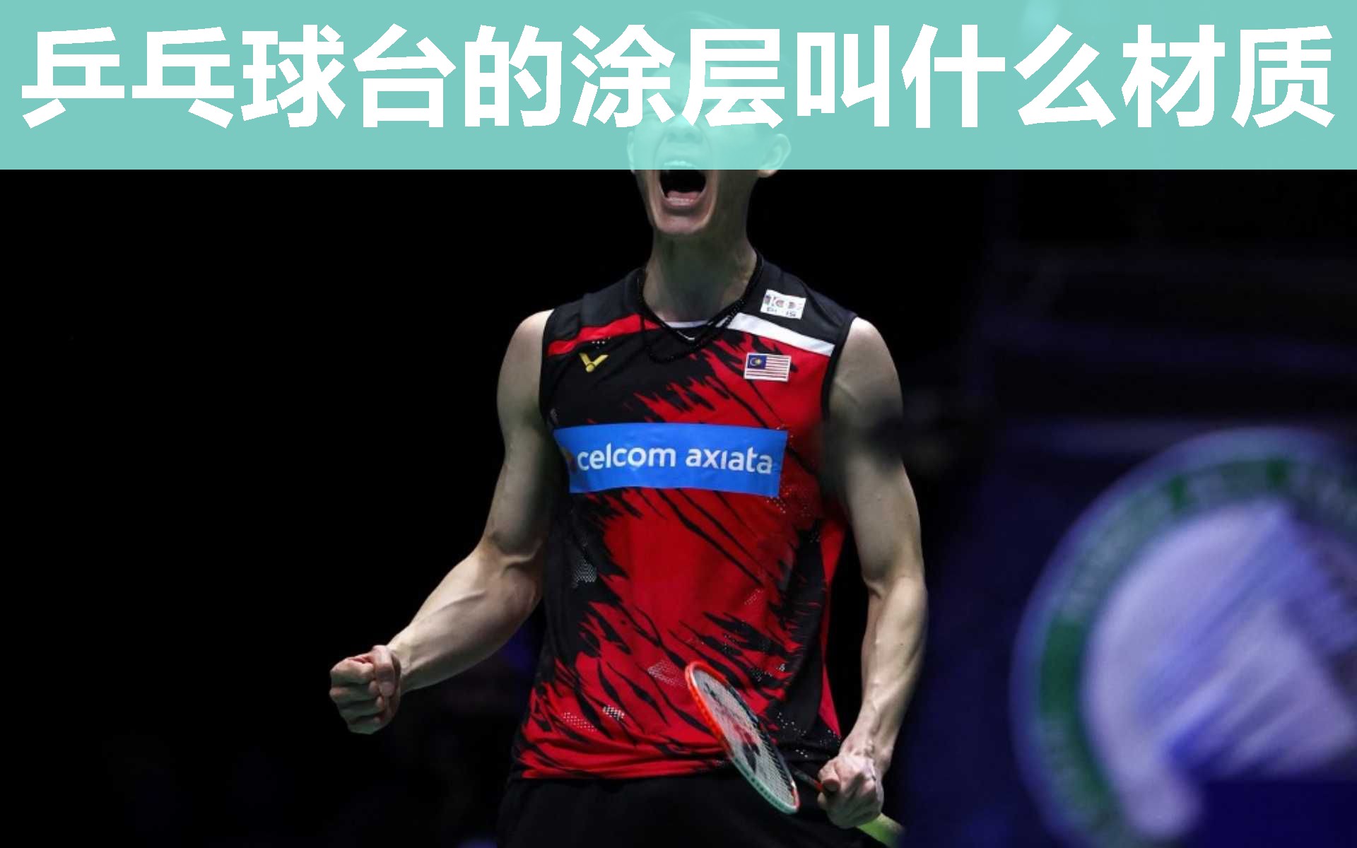 乒乓球台的涂层叫什么材质 乒乓球台的涂层叫什么材质