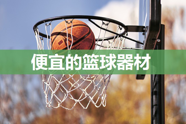 便宜的篮球器材 便宜的篮球器材