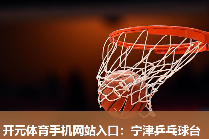宁津乒乓球台 宁津乒乓球台