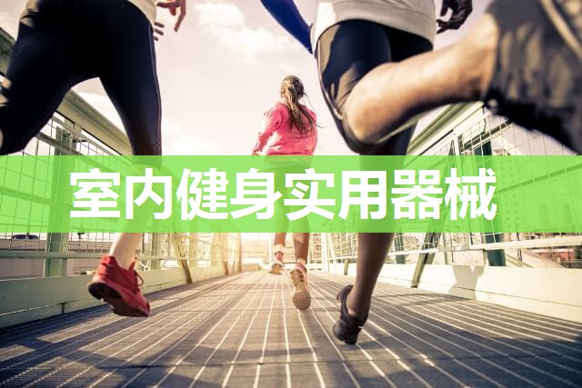室内健身实用器械 室内健身实用器械