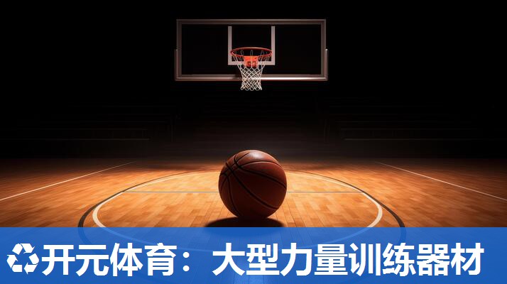 大型力量训练器材 大型力量训练器材