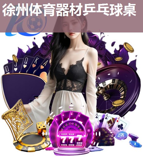 徐州体育器材乒乓球桌 徐州体育器材乒乓球桌