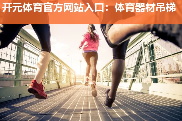 体育器材吊梯