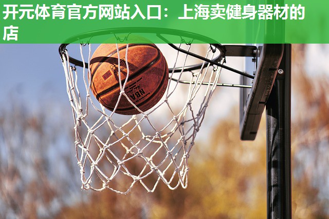 上海卖健身器材的店