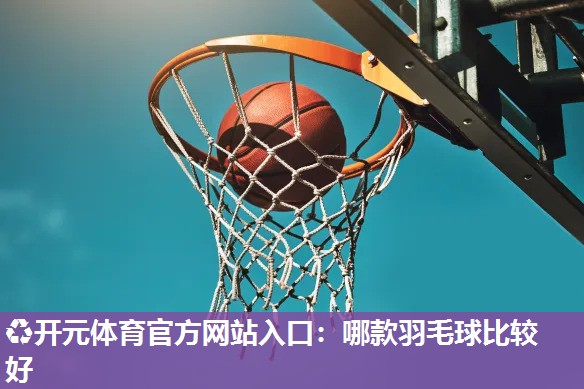 哪款羽毛球比较好