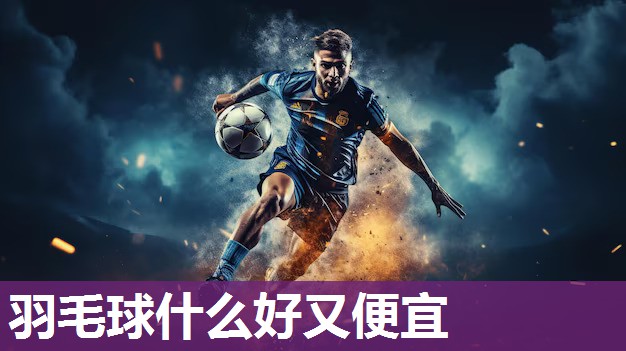 羽毛球什么好又便宜