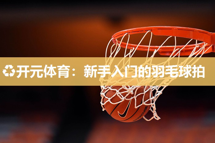 新手入门的羽毛球拍