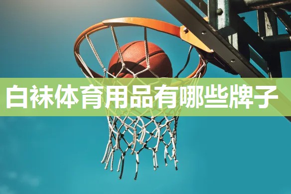白袜体育用品有哪些牌子