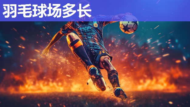 羽毛球场多长